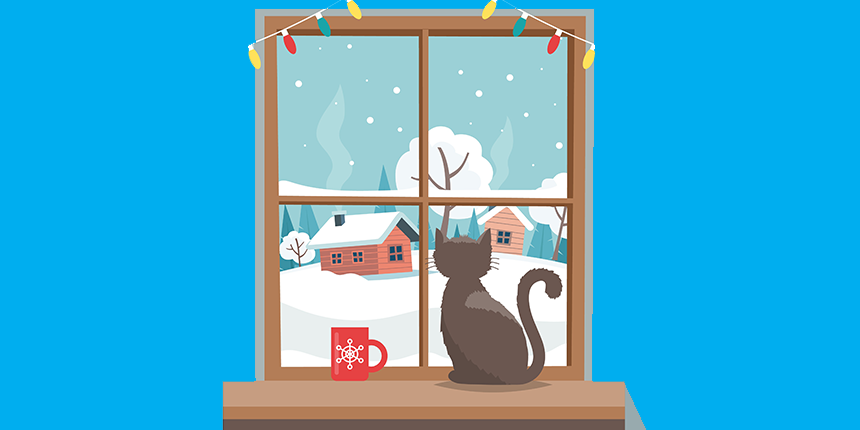 Winter cat in window