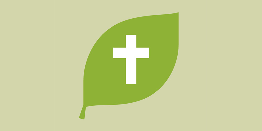 Green leaf with a cross in the middle.